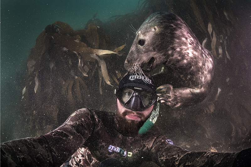 Robert Marc Lehmann unter Wasser mit einer Kegelrobbe