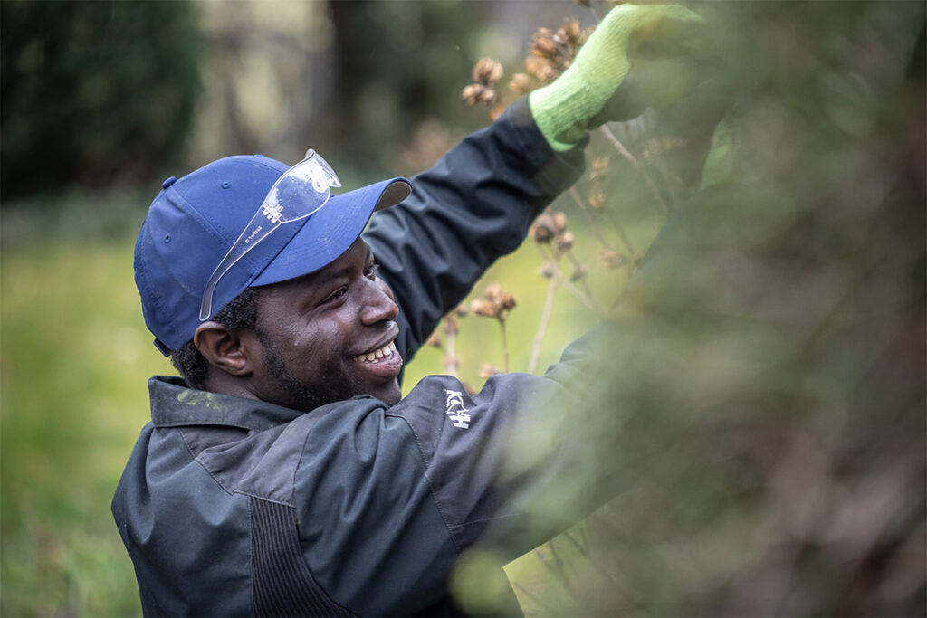 Aladdin knipst die vertrockneten Knospen mit der Gartenschere ab